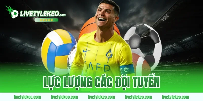 lực lượng các đội tuyển